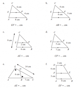 Kunci Jawaban Matematika Uji Kompetensi 4 Kelas 9 Halaman 261